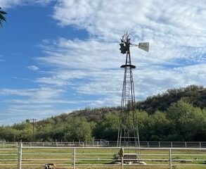 Pasture Windmill